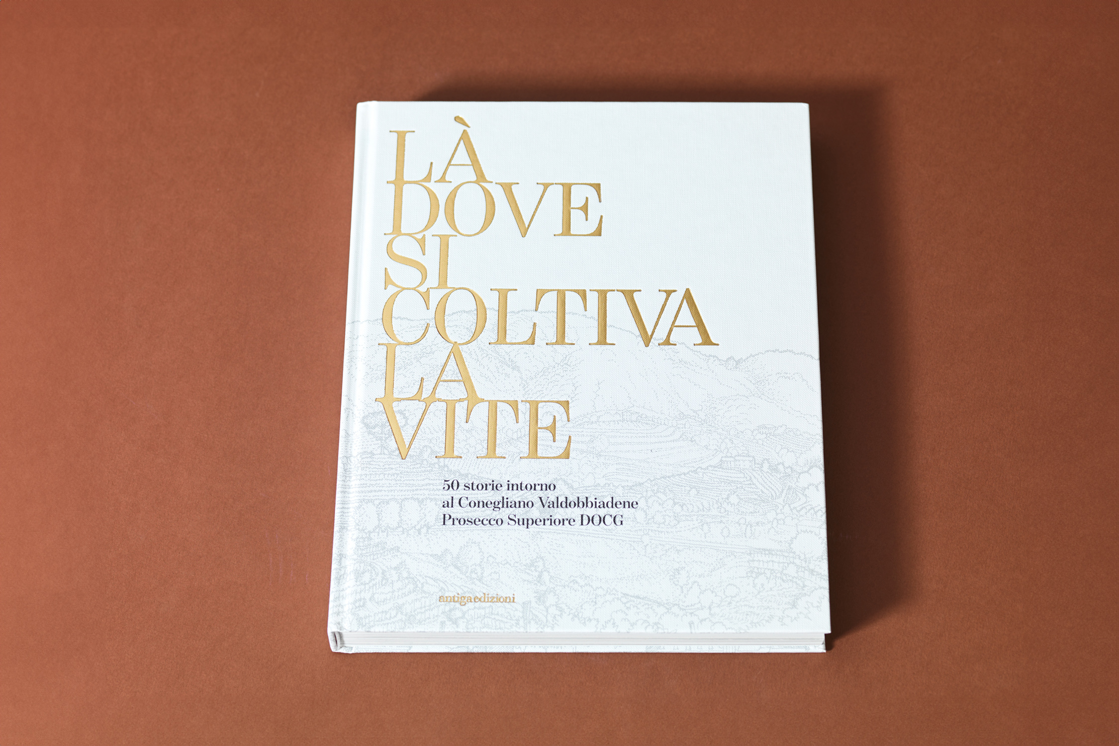 Là dove si coltiva la vite